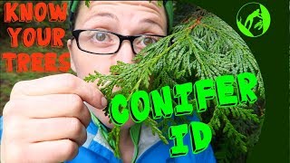 Know Your Trees  Conifer Identification [upl. by Alenson705]