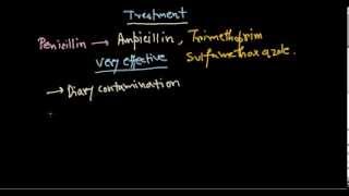 Listeria monocytogenes treatment [upl. by Yddor306]