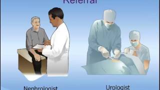 Interpretation of the Urinalysis Part 1  Introduction and Inspection [upl. by Dyson]