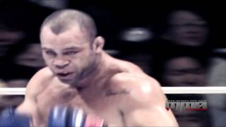 Wanderlei Silva vs Mark Hunt Highlights [upl. by Llezo]