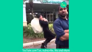 Best vines of 2014 compilation [upl. by Caprice]