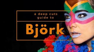 A Guide to BJÖRK [upl. by Pantheas155]