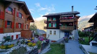 Grächen Village travel nature mountains flowers grächen switzerland [upl. by Pegg230]