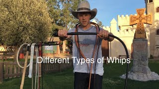 Types of Whips a Comparison [upl. by Ayouqes133]