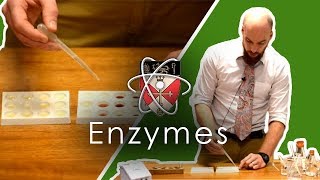 Enzymes  GCSE Science Required Practical [upl. by Aan482]