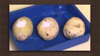 Potato experiment  Osmosis  Biology [upl. by Kcirddec]