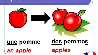 French Lesson 92  Plural nouns Grammar Rules Pronunciation  Le pluriel des noms en français [upl. by Eedia]