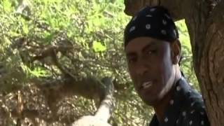 Dagim Mekonnen Kilolee  Gelloo  Oromo Music [upl. by Lammond421]