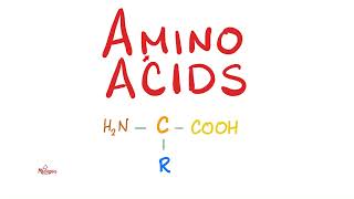 Amino Acids Part 2  Classification  Biochemistry MCAT [upl. by Philbo381]