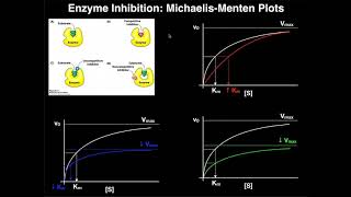 Enzyme Inhibitors  Mechanisms MichaelisMenten Plots amp Effects [upl. by Lietman]