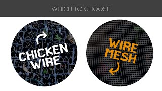 Chicken Wire vs Wire Mesh Which You Should Choose [upl. by Ennasirk]