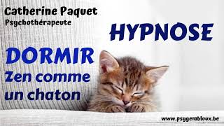 Hypnose du sommeil  dormir zen comme un chaton [upl. by Niledam]