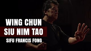 Wing Chun Siu Nim Tao  Sifu Francis Fong [upl. by Siblee686]