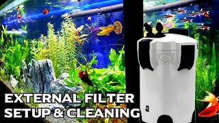 Canister Filter For Aquarium Setup and Cleaning [upl. by Pirbhai682]