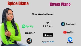 Kwata Wano by Spice Diana Official Audio [upl. by Brawley]