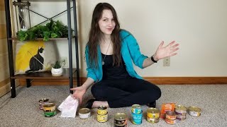 Top 11 Best Wet Cat Foods We Tested Them All [upl. by Dorolice516]