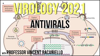 Virology Lectures 2021 20  Antivirals [upl. by Braun]