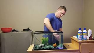 How to set up a fish tank [upl. by Iadrahs]