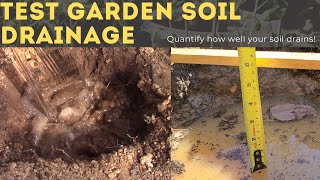 How to Test Soil Drainage [upl. by Rahr]