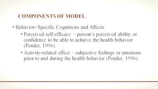 Nola Pender Health Promotion Model [upl. by Sylas715]