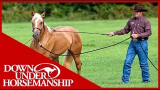 Clinton Anderson Training a Rescue Horse Part 1  Downunder Horsemanship [upl. by Corly447]