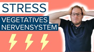 ⚡Stress und vegetatives Nervensystem  Ist das der Grund für deine Beschwerden [upl. by Arica]