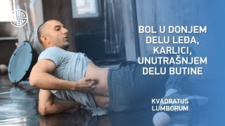 Bol u donjem delu leđa karlici unutrašnjem delu butine  Kvadratus lumborum  PROGEIN 2018 [upl. by Gibbon]