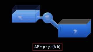 Hydrostatic Pressure Fluid Mechanics  Lesson 3 [upl. by Horsey179]