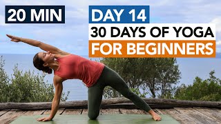 20 Min Full Body Beginner Yoga Day 14 30 Days of Yoga For Beginners [upl. by Mario]