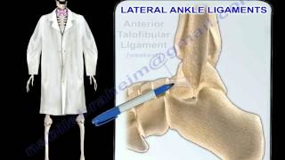 Ankle Ligaments Anatomy  Everything You Need To Know  Dr Nabil Ebraheim [upl. by Egroej965]