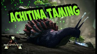 ARK How To Tame Achatinas [upl. by Atinihs769]