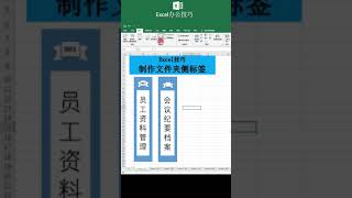 Excel 做文件夾的側標籤 職場辦公技巧 [upl. by Kcirred595]