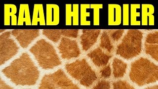 Kan jij deze 10 dieren raden [upl. by Jeremiah]