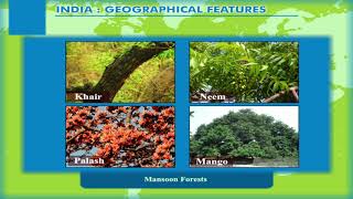 India – Geographical Features – Types of Natural Vegetation class8 [upl. by Arabel]