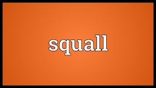 Squall Meaning [upl. by Lundell152]