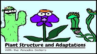 OLD VIDEO Plant Structure and Adaptations [upl. by Knowle]