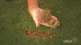 Fore The Golfer Divot Repairs [upl. by Currie]