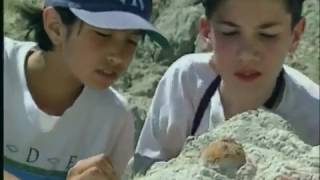 Bill Nye the Science Guy S04E19 Fossils [upl. by Nerrot]