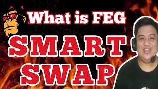 what is FEG SMART Swap I FEG Smartswap [upl. by Cosma]