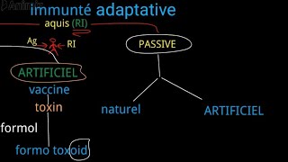 immunité adaptative acquisL2 [upl. by Spiers64]