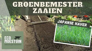 Groenbemester zaaien [upl. by Ytak]