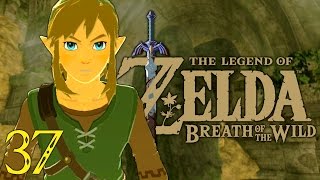 ZELDA BREATH OF THE WILD SWITCH 37 FR  FIN DES SANCTUAIRES [upl. by Neirual]