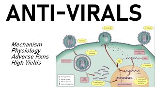 Antiviral Pharmacology [upl. by Gittel]