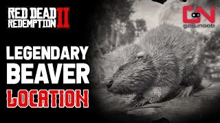 Red Dead Redemption 2  Legendary Beaver Location [upl. by Ennoirb788]