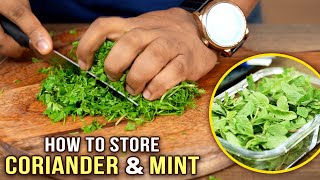 How To Cut amp Store Coriander amp Mint Leaves  Ways To Clean Coriander amp Mint Leaves  Basic Cooking [upl. by Yadsendew]