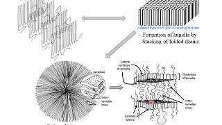 Polymer Crystallization [upl. by Minnnie]