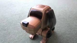 Poo Chi Electronic Interactive Pet [upl. by Eppillihp134]