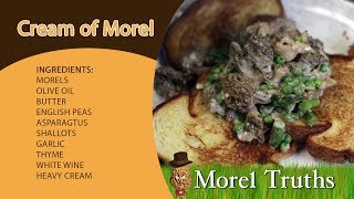 Morel Recipes Cream of Morel Mushroom the best way to cook your morels [upl. by Atikkin120]