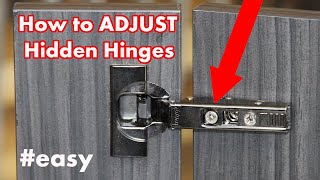 How to Adjust Kitchen Cabinet Hinges  DIY [upl. by Adrea]