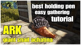 ARK Easy Resource Gathering Achatina Raised Holding Pen Giant Snail Cementing Paste [upl. by Eibmab611]